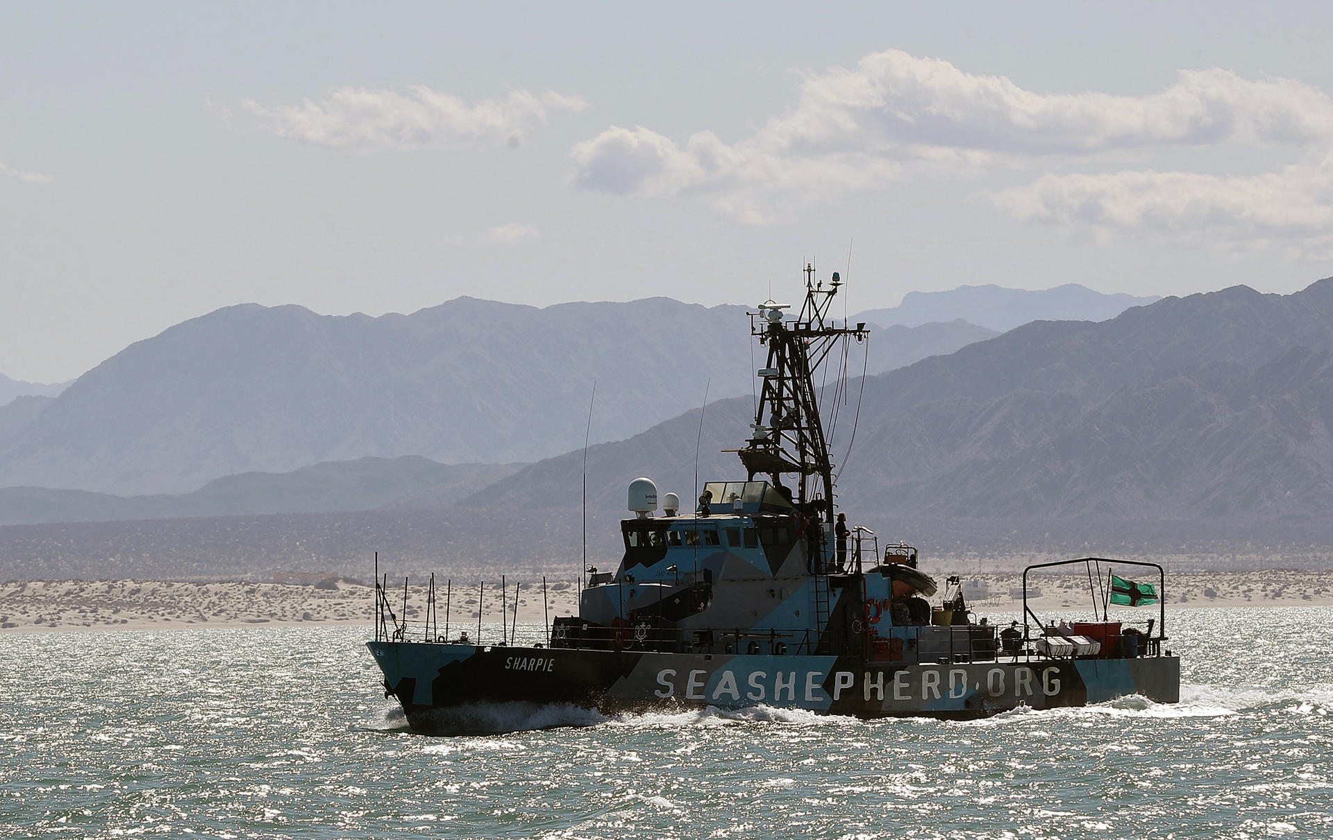 México anuncia cambios regulatorios para reforzar protección de vaquita marina y totoaba